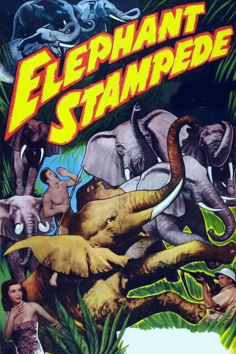 Elephant Stampede
